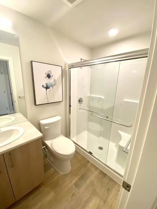 Lovely Brand New Suite Sidney Zewnętrze zdjęcie